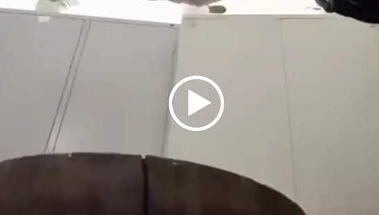 vietnamese butcher video case