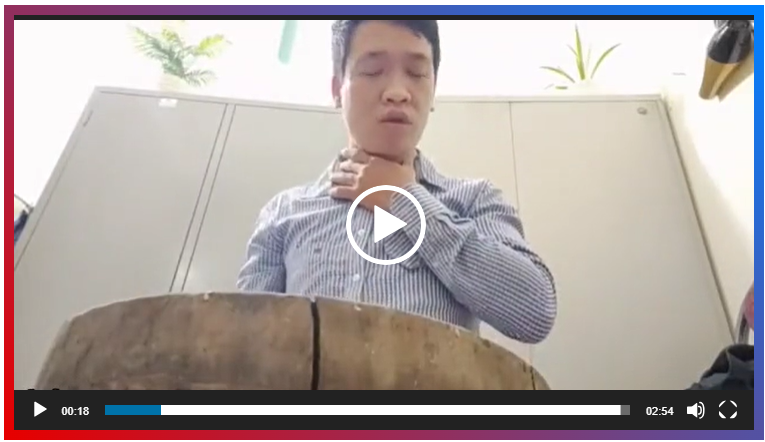 vietnamese butcher video